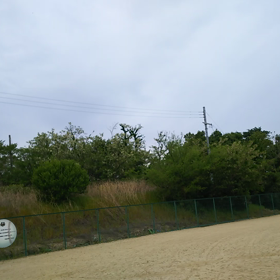 癒しのBGMを送りますの画像