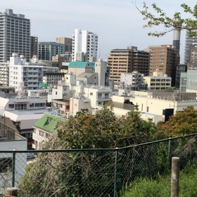 春のBGMと言えばの画像