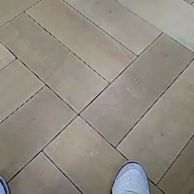 a4東○店～の半額の画像