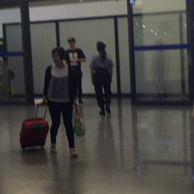 Mario 来た！！！！！！！の画像