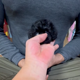 ❤️決まりました❤️JJナイトちゃん動画❤️の画像