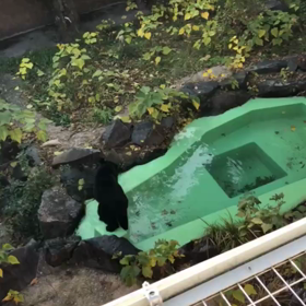 20171222 ケンタッキー囲む家族が欲しいの画像