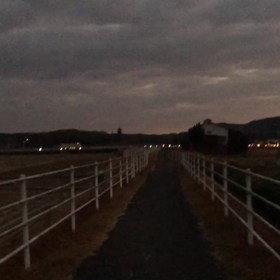 定期検診、そして投薬中止の画像