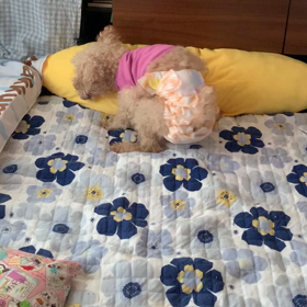 オムツが嫌の画像