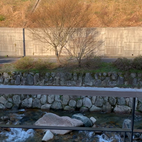 桜……の話し②の画像