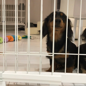 ７３３４の画像