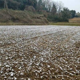 懐かしい家の画像