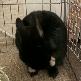 綺麗な所作☆の画像