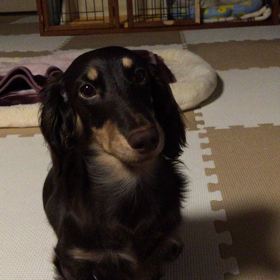 いちごのおしゃべり⁉︎の画像