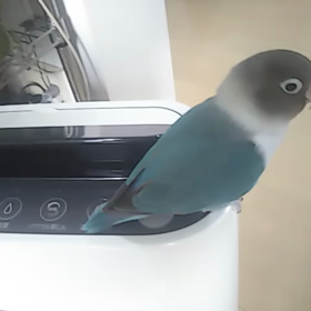 暑中お見舞い申し上げます✨の画像