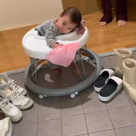 コテ〜って芸をしてますの画像