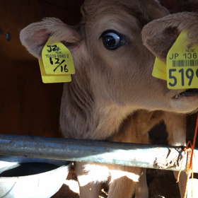 おまけの おまけの画像