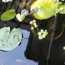 おはようございます☀の画像