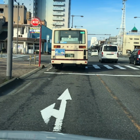 2/24春風のような優しい風が吹きましたの画像