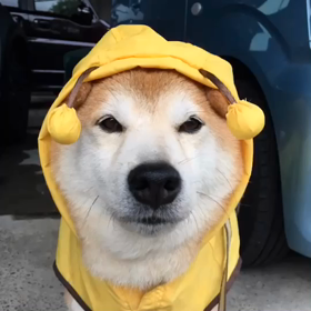 蘭丸ハッチのつぶやき（笑）の画像