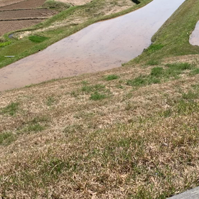 おんな2人旅の画像