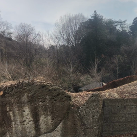 大谷平和観音。の画像