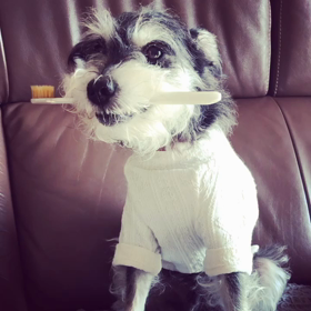 言われるがままの画像