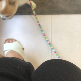 ミロ動物病院への画像