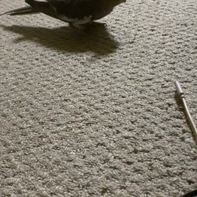 週末のお.ま.け！の画像