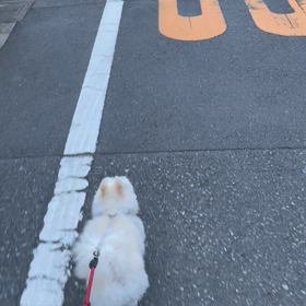 やっぱりの画像