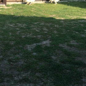 ミストの挑発に乗って来ないベルの画像