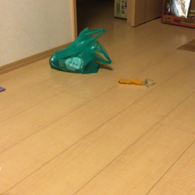 よし子 遊ぶﾊ━━━ヾ(｡º∀º)ﾉ━━━ｲ♡の画像