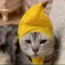 コロナさんの画像