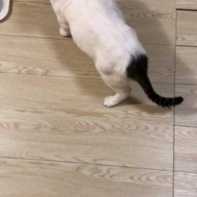 どうやら鳴くほど枝豆が好きらしいの画像