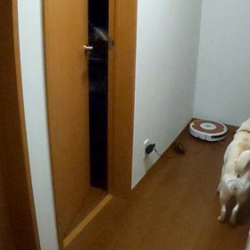 二男のご帰還&マルチにはまった幼なじみの画像