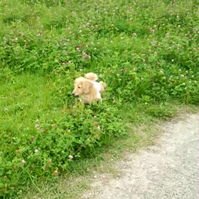 離れたら…の画像