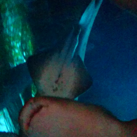 ドバイへ④の画像