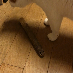 あの…あのぉの画像