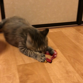 カレンダーの日の画像