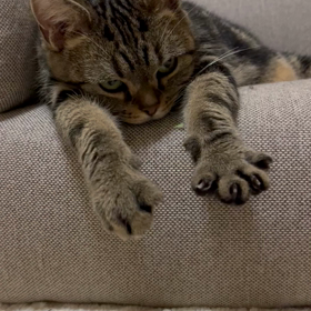 久しぶりの投稿です。の画像