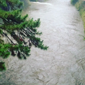 右腕骨折生活 骨折91日目　理学療法士さんと7度目のリハビリ＆台風の画像
