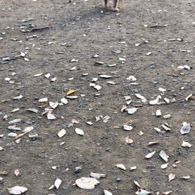 変わらない幸せの画像