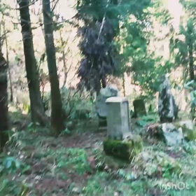 非現実的な世界を体感するの画像