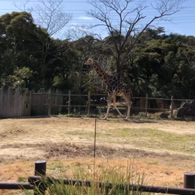 到津の森の画像