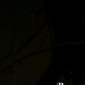 昨日のメダカの画像