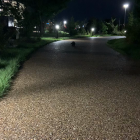 夜うさんぽの画像