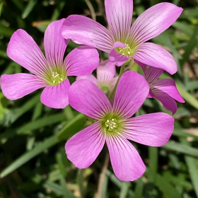 介護記録７５（この道を選んだから）の画像