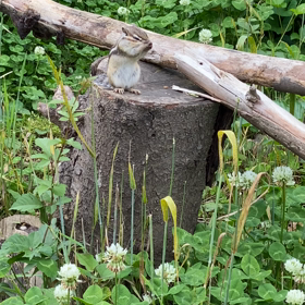 可愛い〜♡の画像