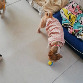 朝から元気いっぱい♬の画像