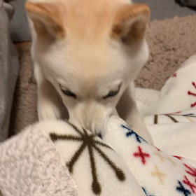 こんにちは！の画像