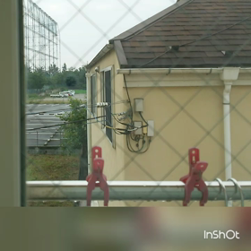 ゴミをパラパラ～の画像