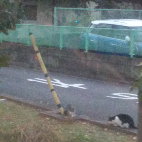 いつまで続ける事が出来るだろう。の画像