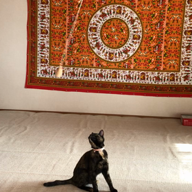 穏やかな土曜日の画像