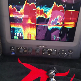 本日の動画その8の画像