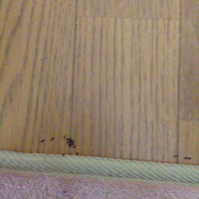 のんびりした　土曜日の画像